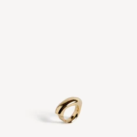 Eisa-ring i glänsande guld
